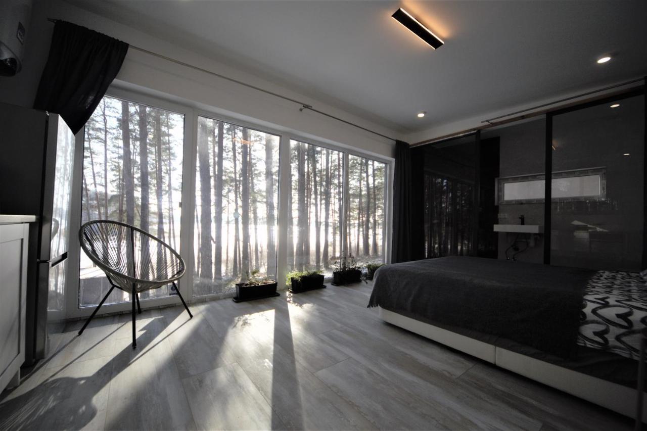 Gaujaclub - Our Bose And Bang&Olufsen Lofts On A Lake Gauja  Exterior photo