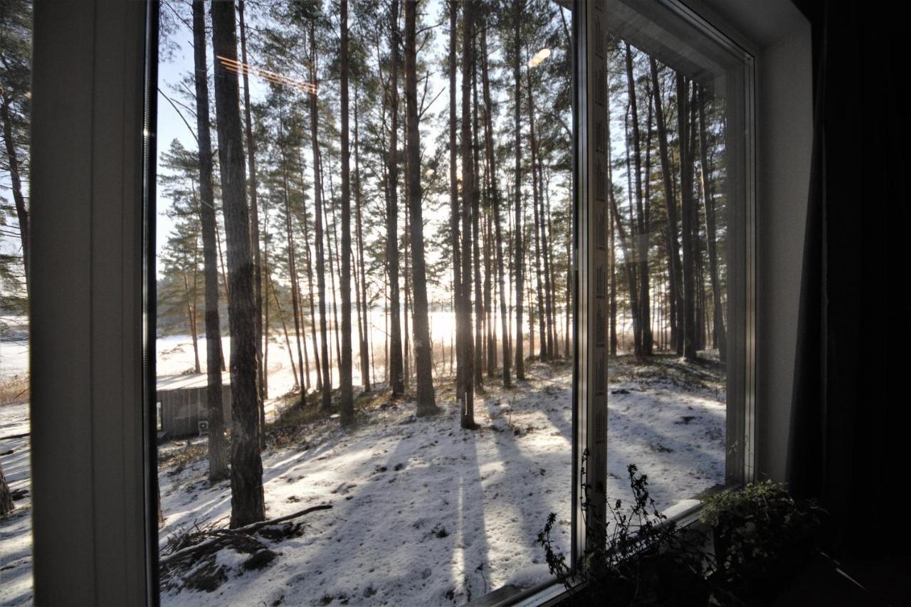 Gaujaclub - Our Bose And Bang&Olufsen Lofts On A Lake Gauja  Exterior photo