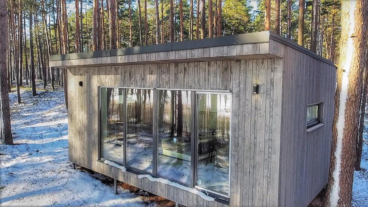 Gaujaclub - Our Bose And Bang&Olufsen Lofts On A Lake Gauja  Exterior photo