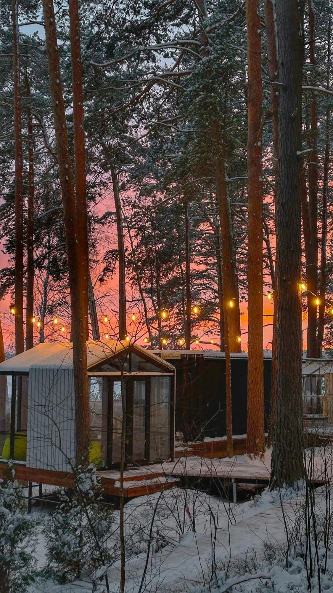 Gaujaclub - Our Bose And Bang&Olufsen Lofts On A Lake Gauja  Exterior photo