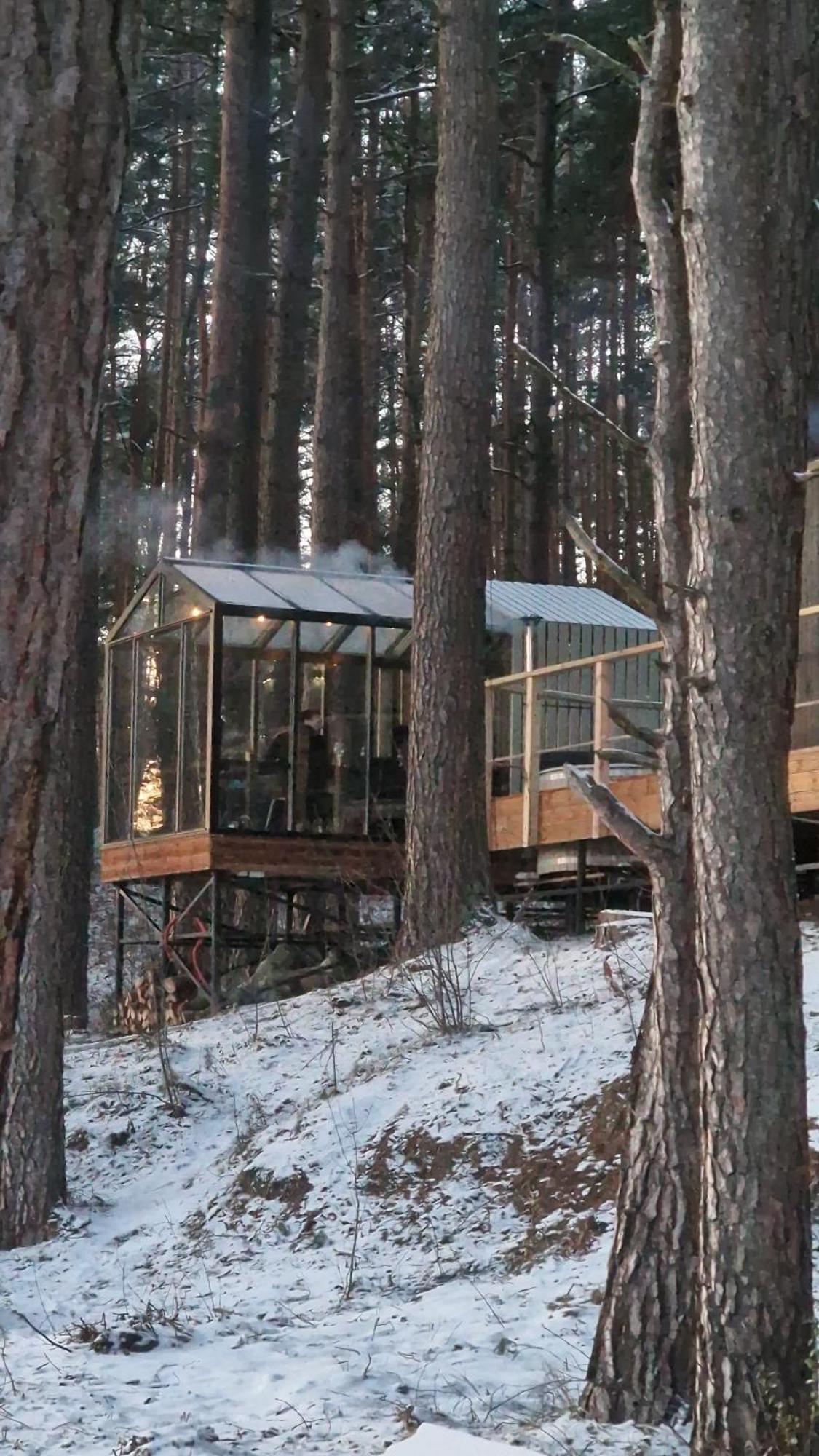 Gaujaclub - Our Bose And Bang&Olufsen Lofts On A Lake Gauja  Exterior photo