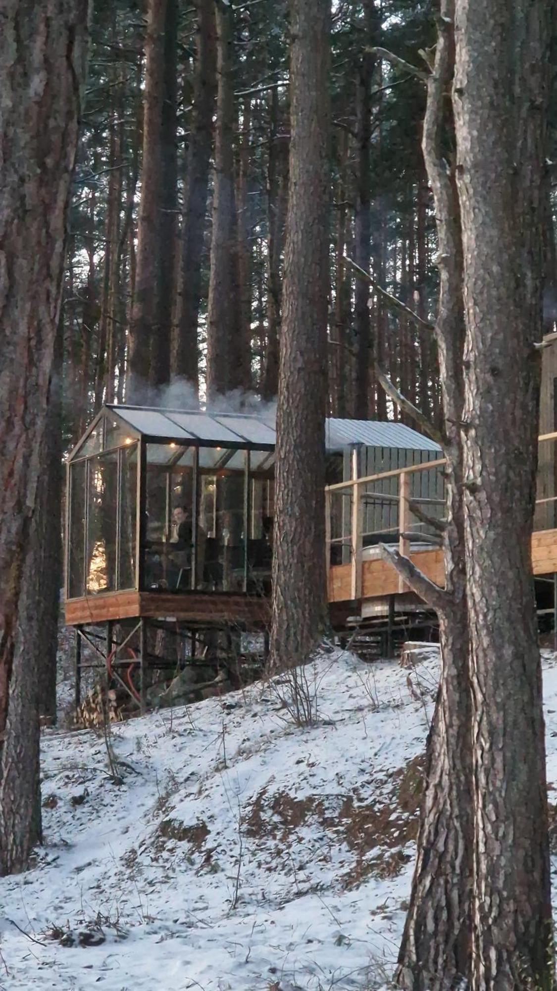 Gaujaclub - Our Bose And Bang&Olufsen Lofts On A Lake Gauja  Exterior photo